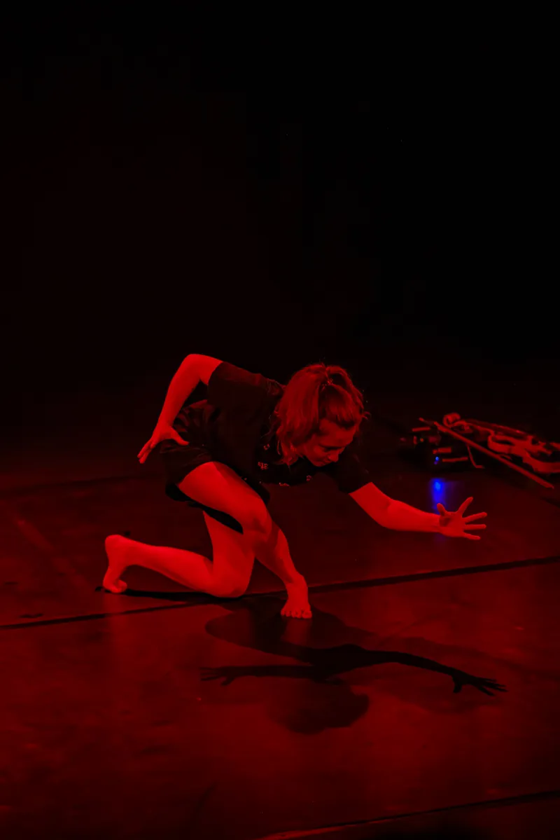IDA FLUX